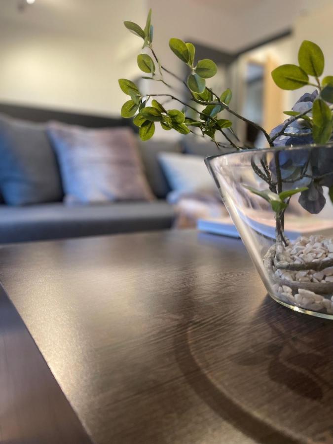 Dg Apartment - Le Relais Du Lac, Proche Disneyland Paris Lognes Kültér fotó
